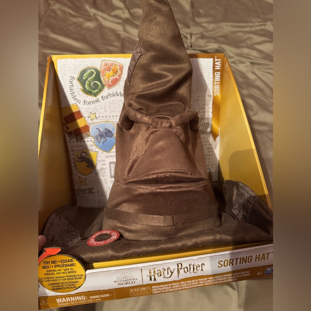 Harry Potter Sorting Hat